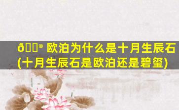 💮 欧泊为什么是十月生辰石(十月生辰石是欧泊还是碧玺)